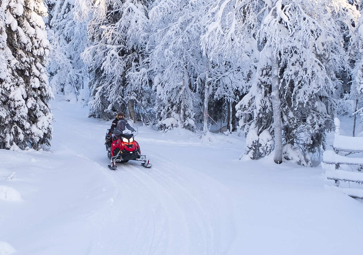 A man on a winter snowmobile rides through a snow-covered forest.